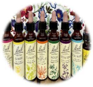 Flacons Fleurs de Bach- Rescue -Elixirs floraux- Conseillère agréée